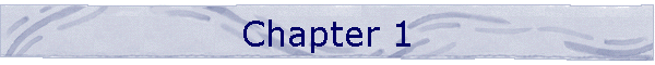Chapter 1