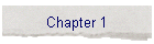 Chapter 1